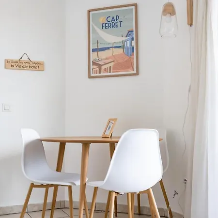Superbe Vue Bassin/park/wifi דירה ארסשון